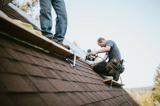 Best Metal Roofing Contractor  in Eerlin, ND