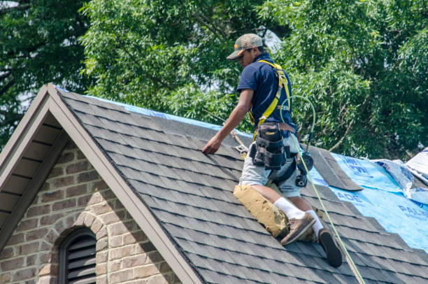 Best New Roof Installation  in Eerlin, ND